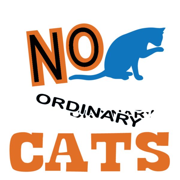 NO CATS Thumbnail